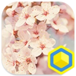 Logo of Cherry blossoms android Application 